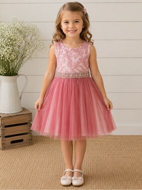 Rare Editions Pink Embroidered Tulle Dress with Jeweled Waist